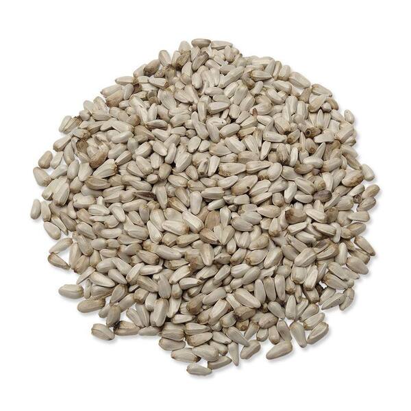 home depot safflower bird seed