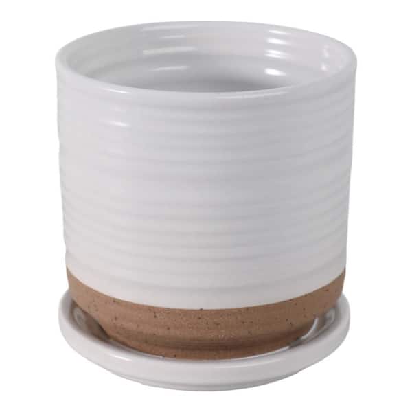 5 in. x 5 in. White Ceramic Decorative Saucer Pot with Ribbed Texture
