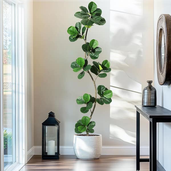 7FT Artificial Fiddle Leaf Fig Tree with Black Nursery Planter, Large Floor Plants for Home or Office Decor