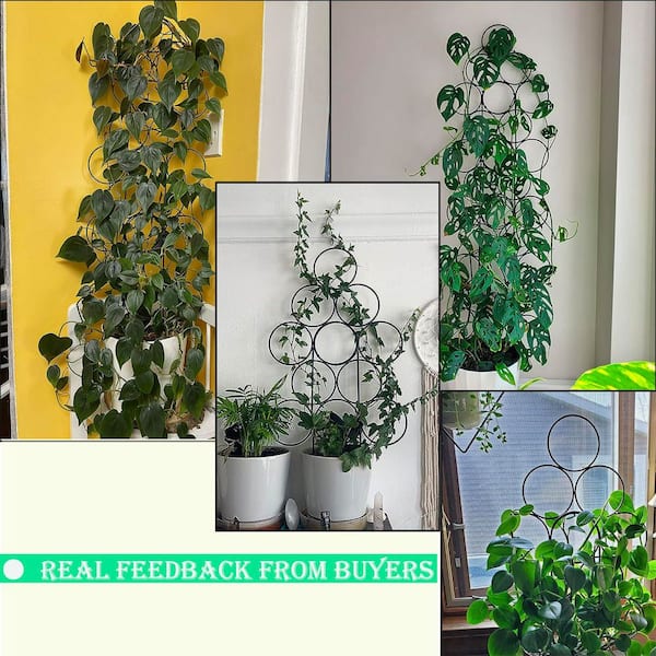 hanging planter hooks Amagabeli 2 Pack Hanging Plants Brackets 10" Wall Planter Hooks Hanger