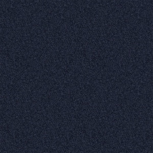 Alpine - Truth - Blue 17.3 oz. Polyester Texture Installed Carpet