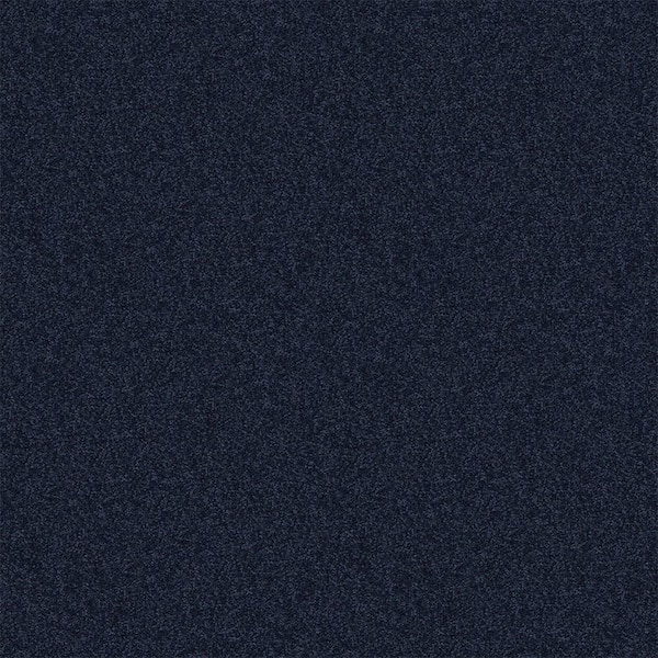 Alpine - Truth - Blue 15 ft. 17.3 oz. Polyester Texture Installed Carpet