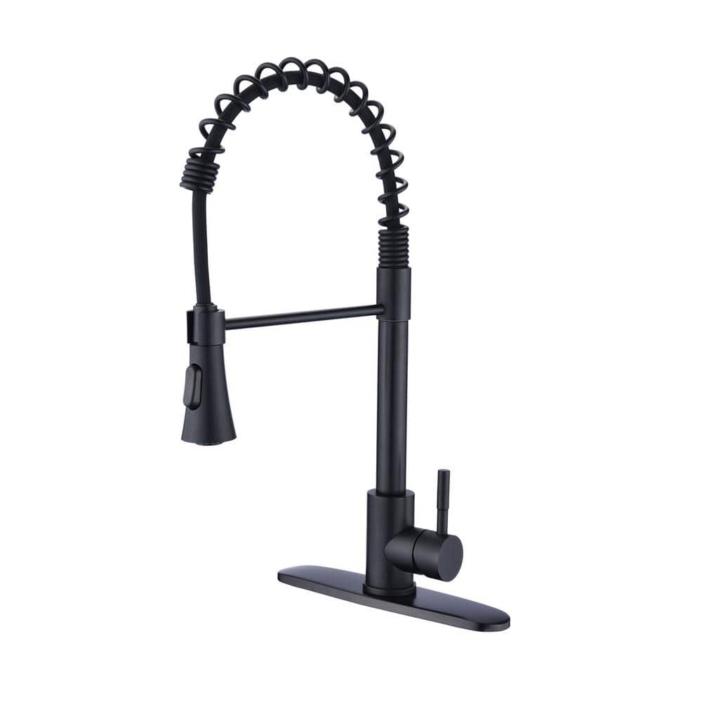 Single-Handle Stainless Steel Spring Pull Down Sprayer Kitchen Faucet in Matte Black -  PROOX, D0675-MB