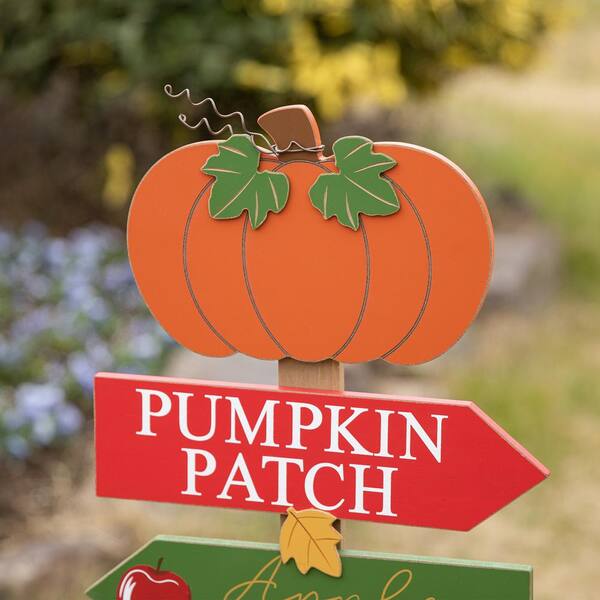 pumpkin patch 181