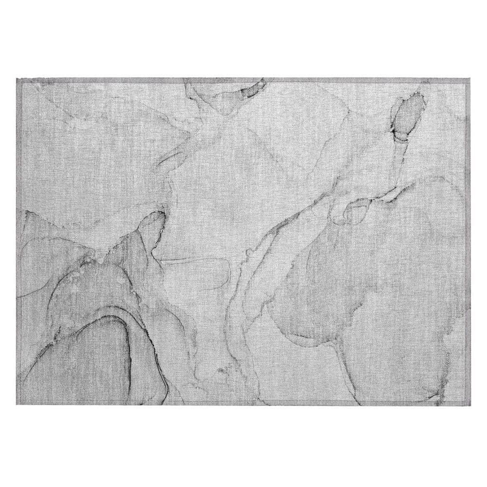 Silver 2 ft. x 3 ft. Woven Abstract Polyester Rectangle Indoor/Outdoor Area Rug price history on PriceWatchPro
