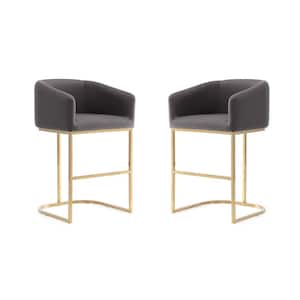 Louvre 36 in. Grey and Titanium Gold Stainless Steel Counter Height Bar Stool (Set of 2)