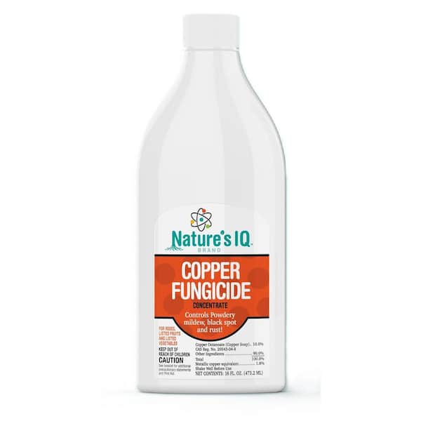 Unbranded Copper Fungicide Concentrate 16 oz. For Roses, Listed Fruits and Vegetables Controls Powdery Mildew, Black Spot, Rust