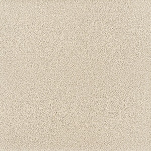 Spicework II  - Bishop - Beige 60 oz. SD Polyester Texture Installed Carpet