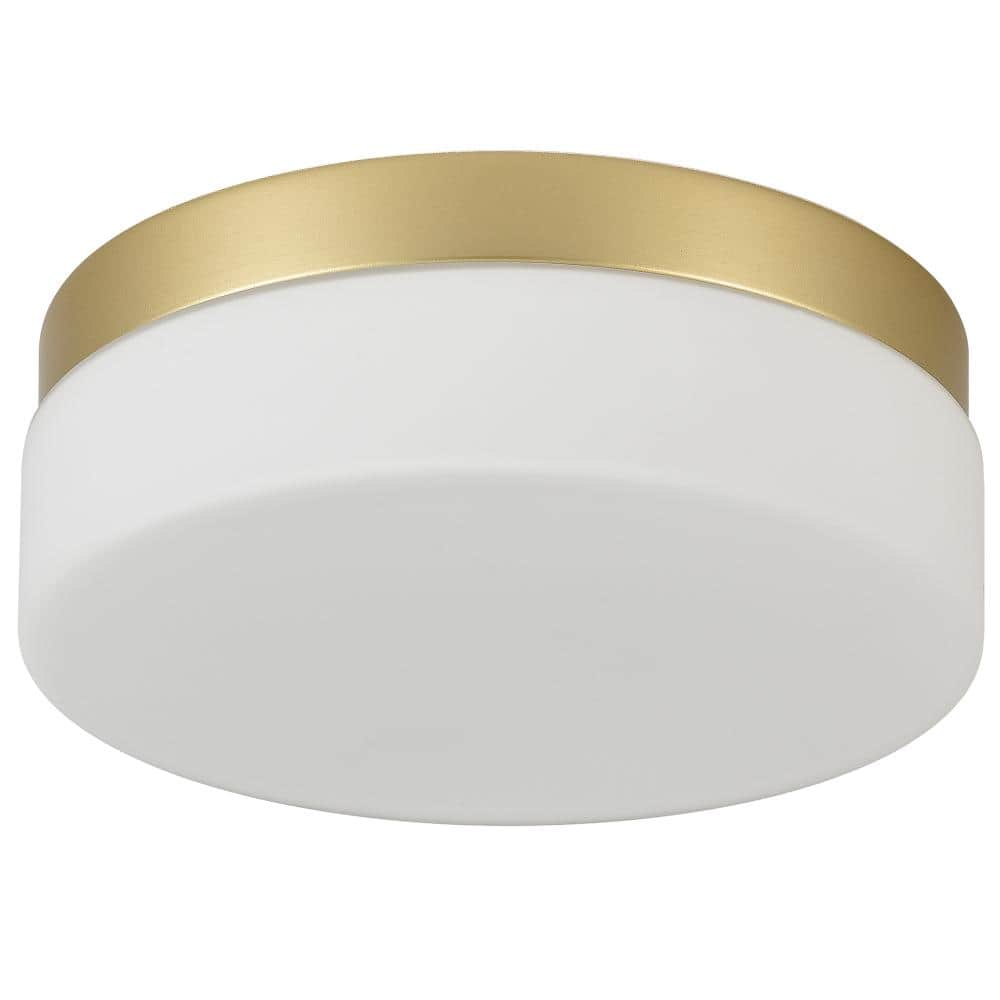 1PK 12 in. LED Flush Mount Ceiling Light Fixture, 24W, Round Surface, Modern Recessed Ceiling Lamp for Bathroom, Gold price history on PriceWatchPro