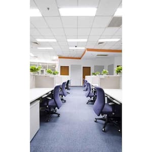 2 ft. x 4 ft. Integrated LED White Troffer with 6 ft. Whip, 4000K