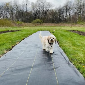 3 ft. x 100 ft. Weed Barrier Landscape Fabric with U-Shaped Securing Pegs, Heavy-Duty Block Gardening Mat Weed Control