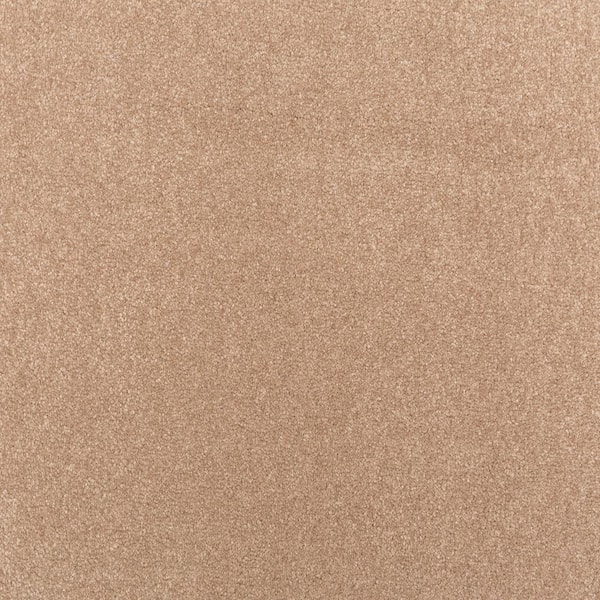 Lifeproof with Petproof Technology Waking Up I Ethereal Brown 37 oz. Triexta Textured Installed Carpet