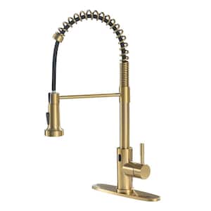 Single-Handle 2-Spray Pull-Down High-Arc Touch Kitchen Faucet with Deck Plate in Brushed Gold