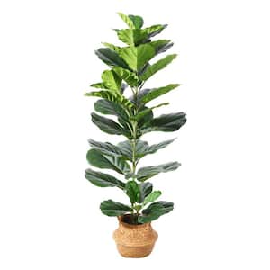 49 Inch Green Artificial Fiddle Leaf Fig Plants