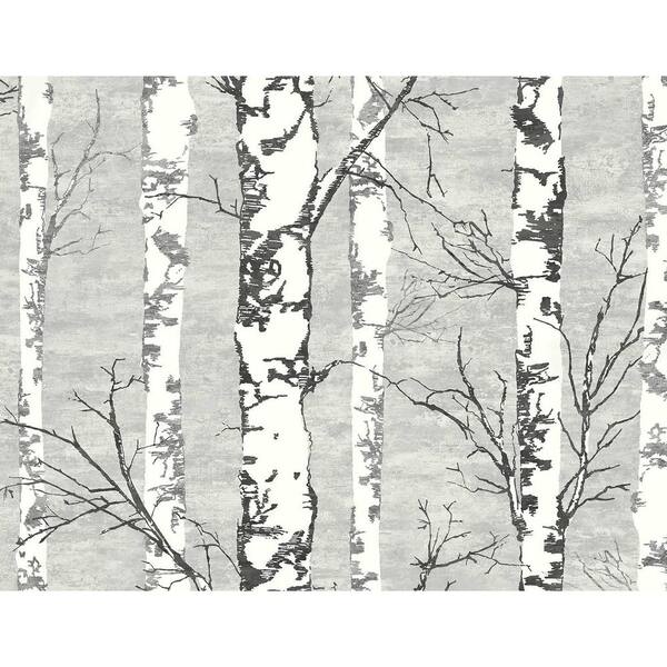 60.75 sq. ft. Daydream Grey and Inkwell Alaska Birch Unpasted Wallpaper Roll