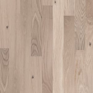 CENTURY FLOORING Unfinished Solid White Oak Select 3/4 in. T x