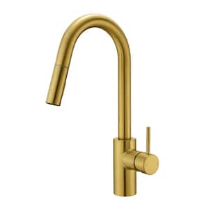 Euro Modern Single-Handle Pull-Down Sprayer Kitchen Faucet with Accessories in Rust and Spot Resist in Brushed Gold