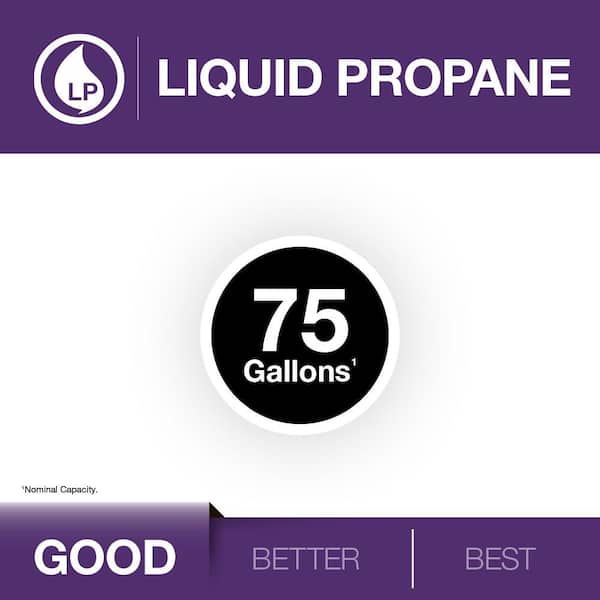 Performance 75 Gal. Tall 75,100 BTU Liquid Propane Power Vent Water Heater with 6-Year Warranty