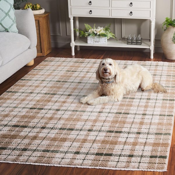 SAFAVIEH Oxford Plaids 8 ft. x 10 ft. Beige/Green Geometric Plaid Area Rug OXP304Y-8
