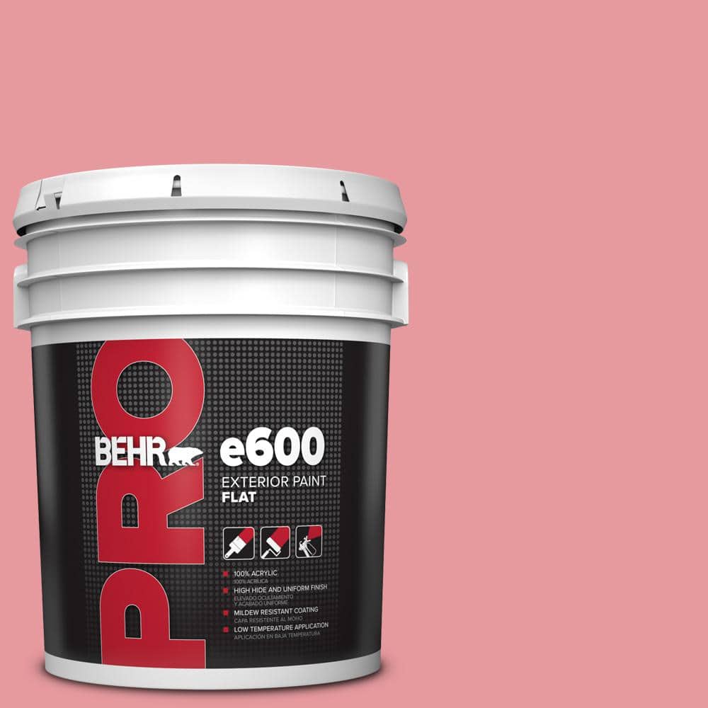 5 gal. #P160-3 All Dressed Up Flat Exterior Paint price history on PriceWatchPro