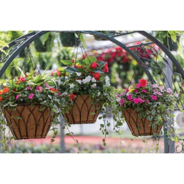 Black Metal Hanging Planter Coco Liner Basket Flower Pot Indoor Outdoor Plants 