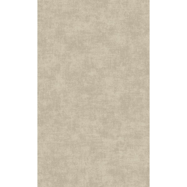 Walls Republic Taupe Concrete Plain Printed Non-Woven Paper Non Pasted Textured Wallpaper 57 sq. ft.