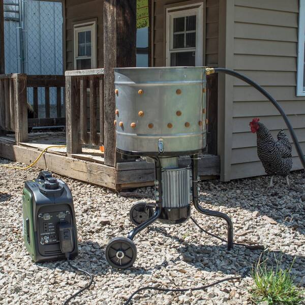 American Shoemaking Machinery at the Frankfort Leather Fair. Acorn-Storing  Birds. W (IP Chicken Hatching by Electricity. Salmon from the Arctic  Regions., scientific american, 1881-11-26 Stock Photo - Alamy