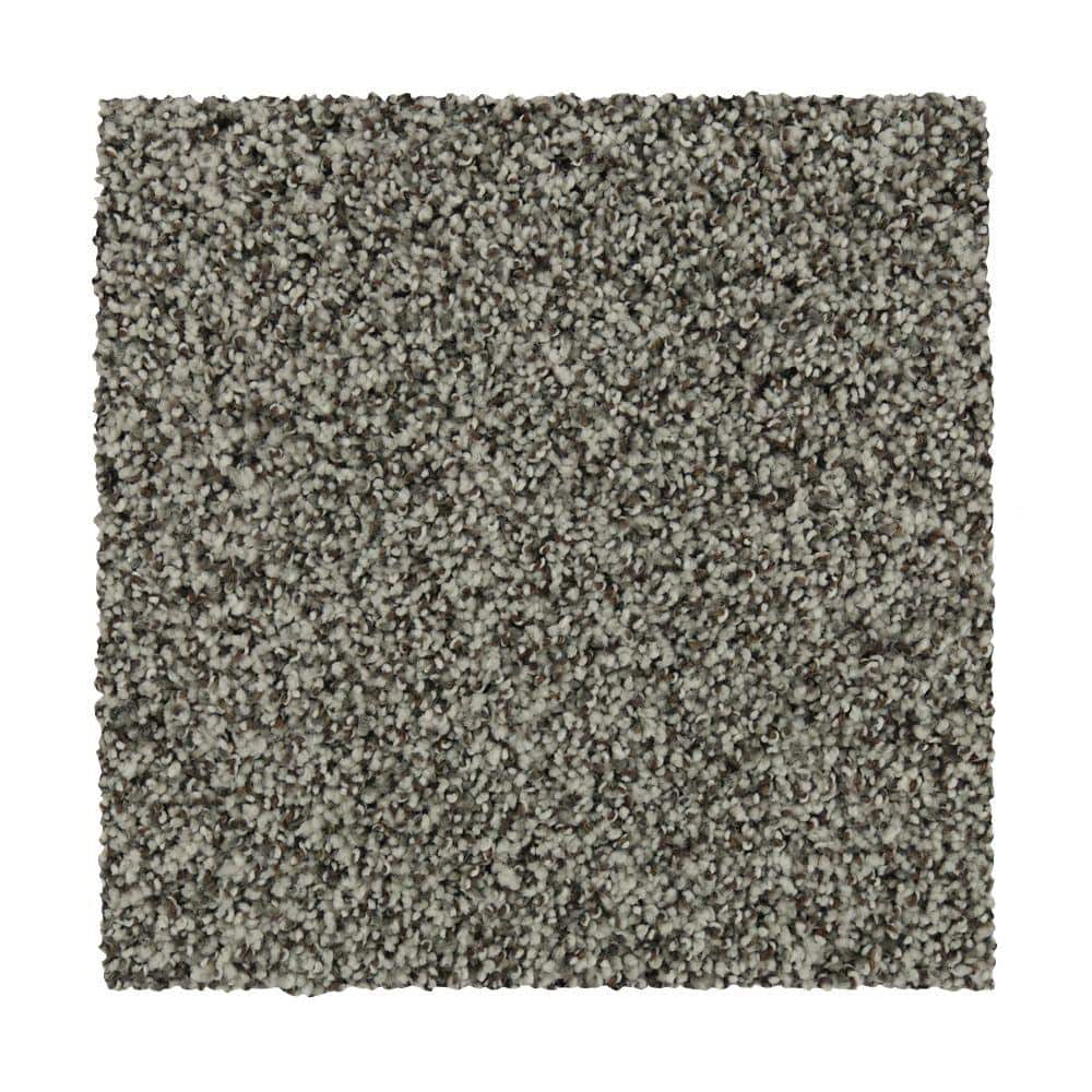 8 in. x 8 in. Texture Carpet Sample - Batesfield - Color London Fog price history on PriceWatchPro