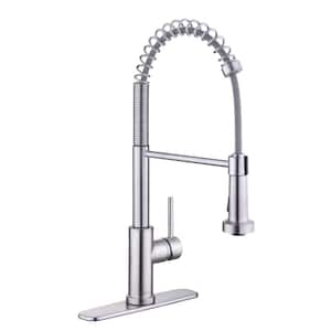 Paulina Single-Handle Spring Neck Pull Down Sprayer Kitchen Faucet in Stainless Steel