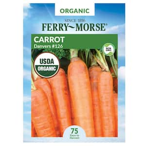 Organic Carrot Danvers Vegetable Seed