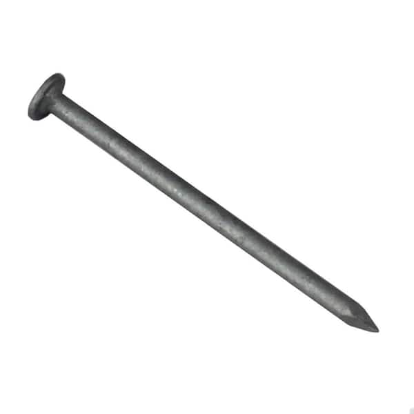 Everbilt 40D 4 in. Common Nail BRT Each