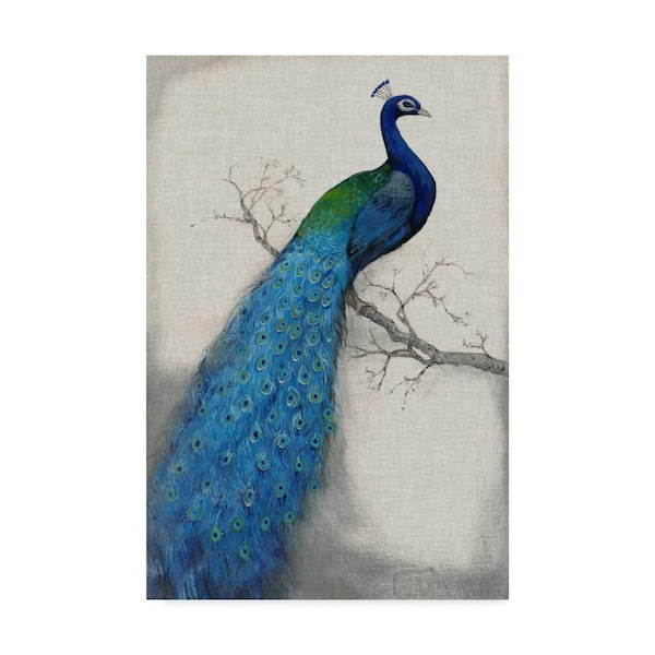 Trademark Fine Art Tim Otoole 'Peacock Blue I' Canvas Unframed Photography Wall Art 12 in. x 19 in