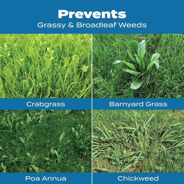 Scotts - Turf Builder 13.35 lbs. 5,000 sq. ft. Halts Crabgrass Preventer with Dry Lawn Fertilizer (2-Pack)