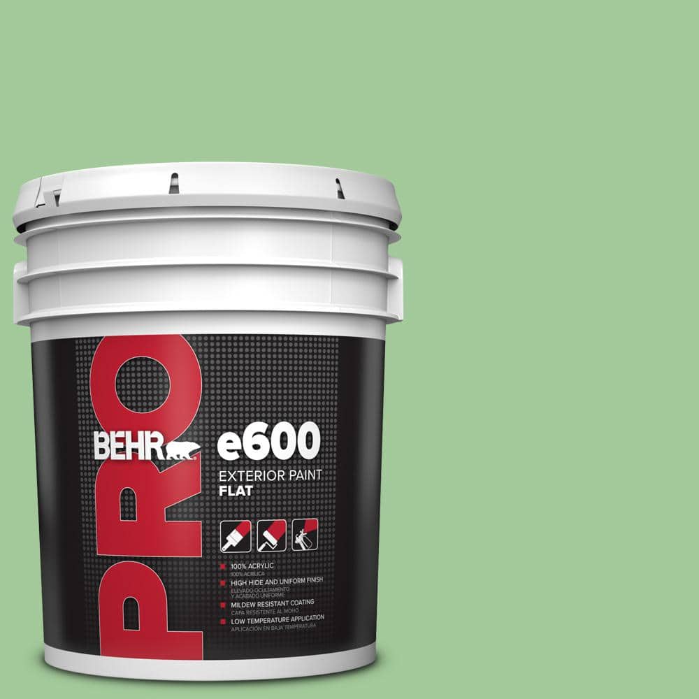 5 gal. #M390-4 Gingko Flat Exterior Paint price history on PriceWatchPro