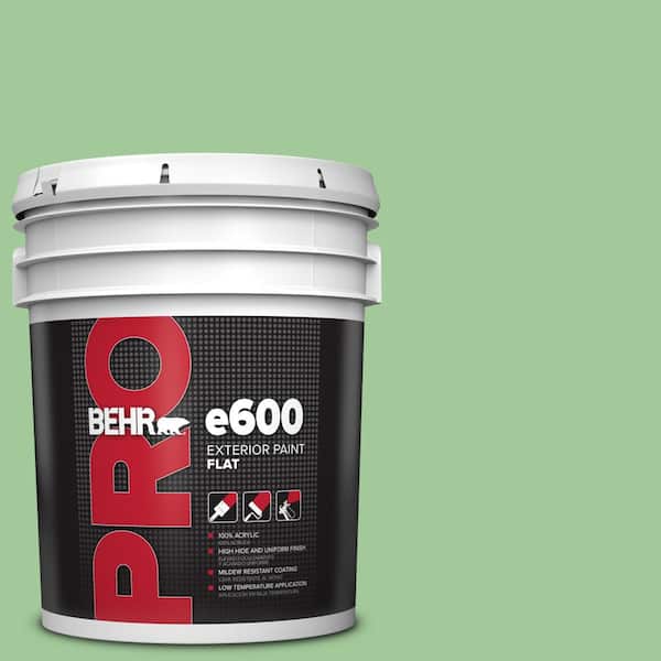 BEHR PRO 5 gal. #M390-4 Gingko Flat Exterior Paint