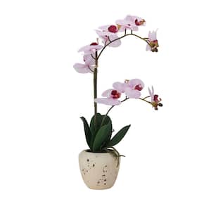 Real Touch 22 in. Pink Spot Artificial Phalaenopsis Orchid, in Cement Pot, Double Branch
