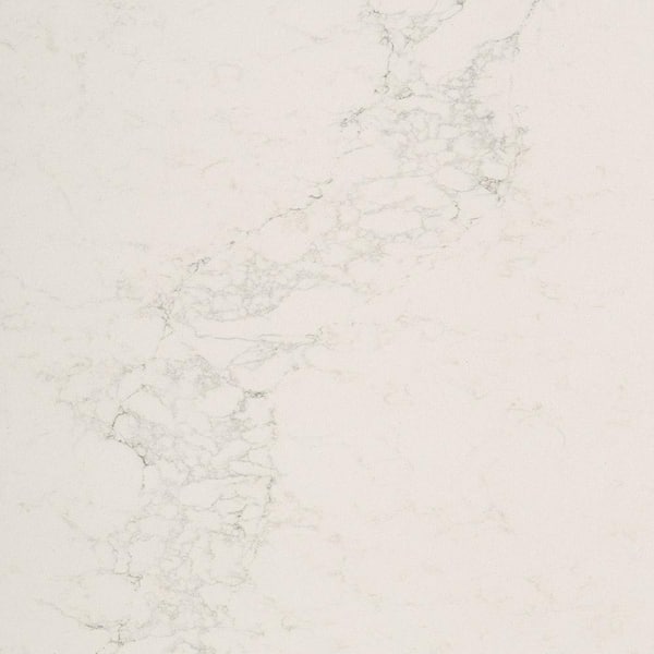 Caesarstone 10 in. x 5 in. Quartz Countertop Sample in Calacatta Nuvo