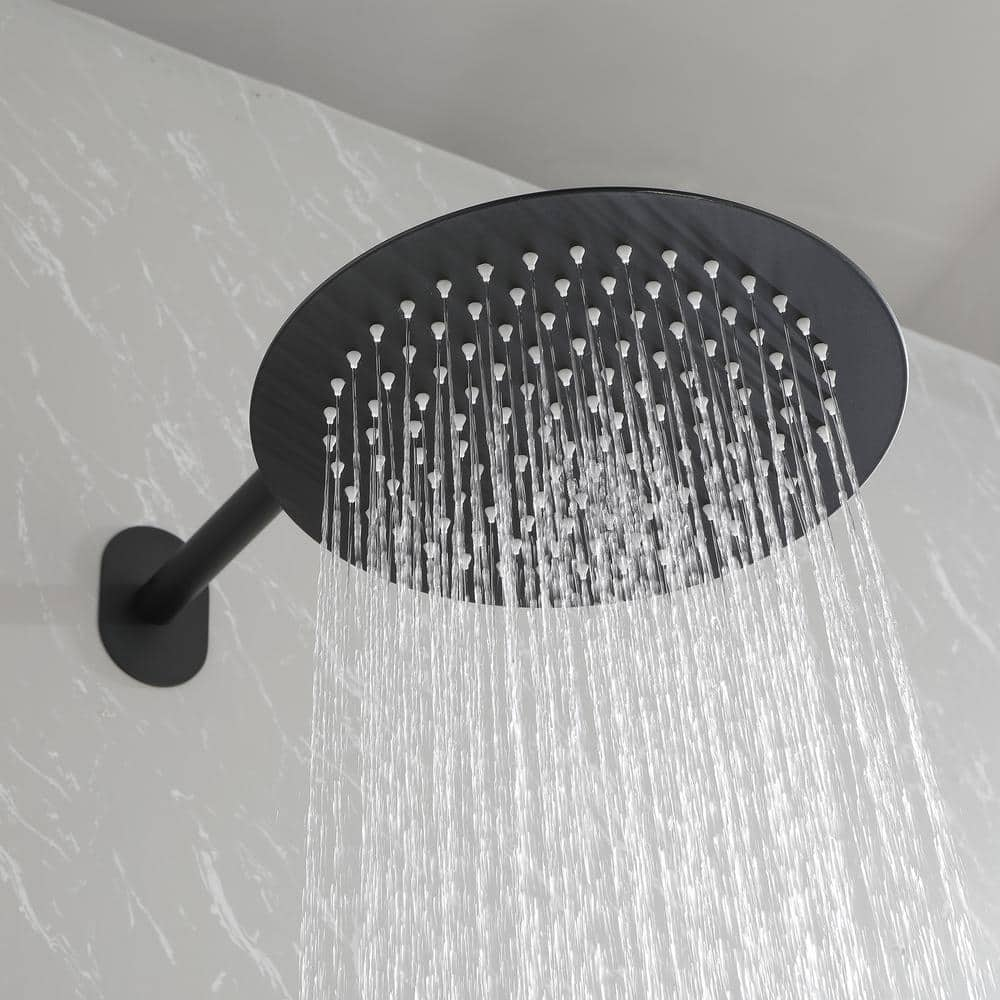 Tahanbath 2 Spray Patterns Wall Mount Rain Dual Shower Head