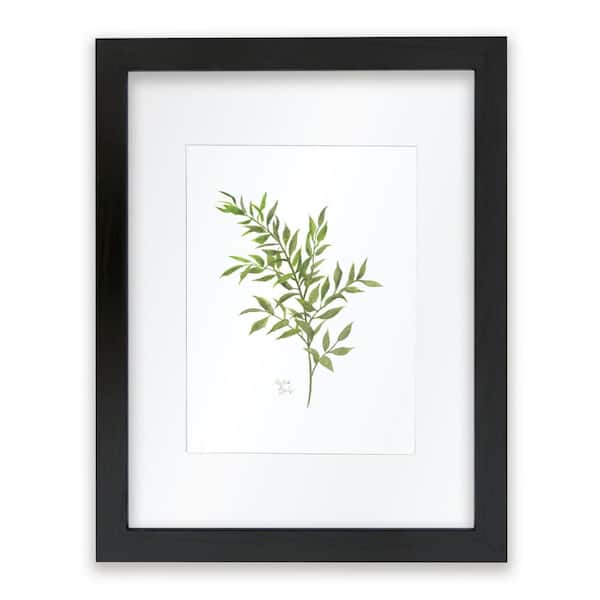 Unbranded Nature's Lace 1 "Italian Ruscus" by Alyssa Lewis Individual Black Framed with Mat Nature Art Print 24 in. x 18 in.