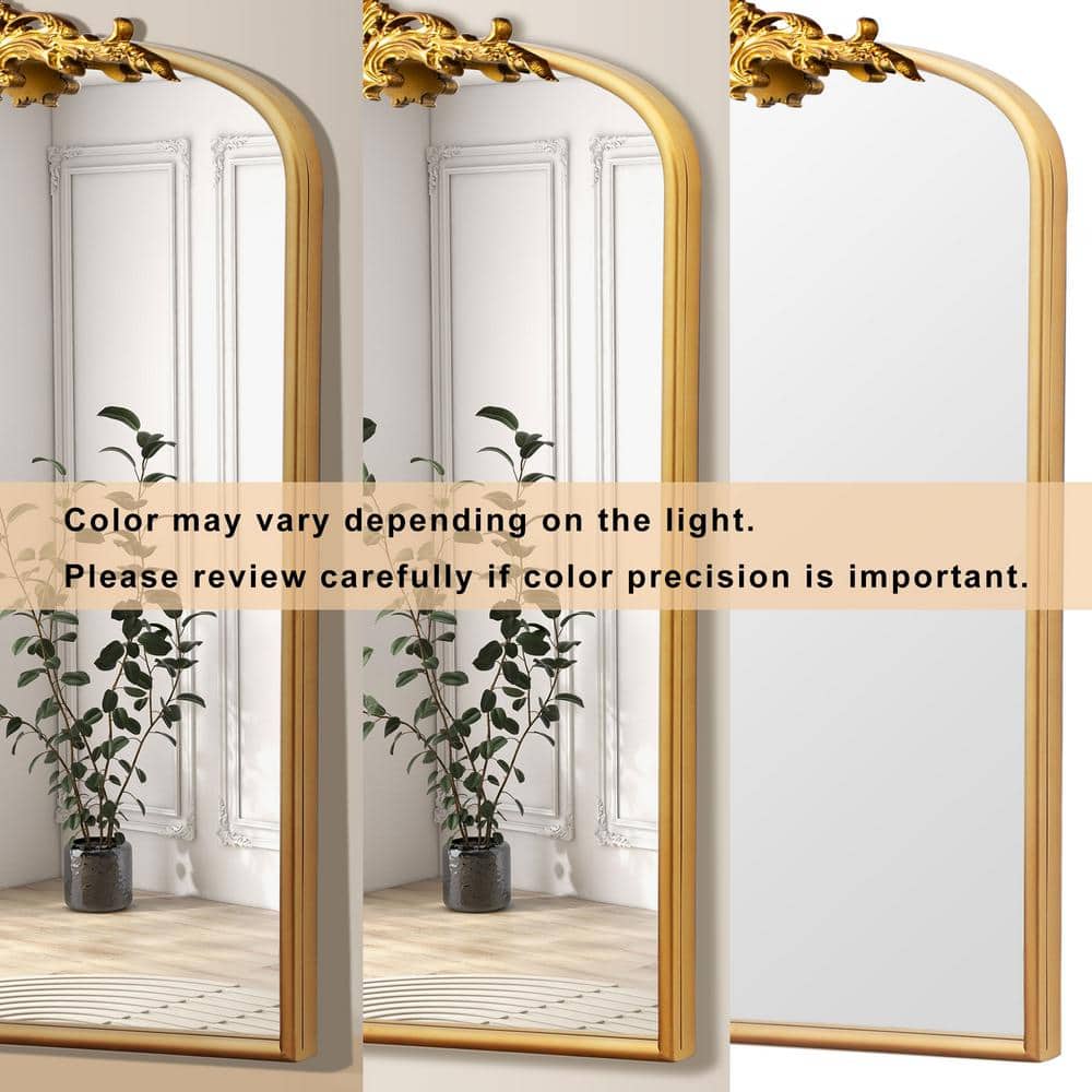 Crane Lake 24"x36" Gold Arched Metal Framed Decorative Mirror