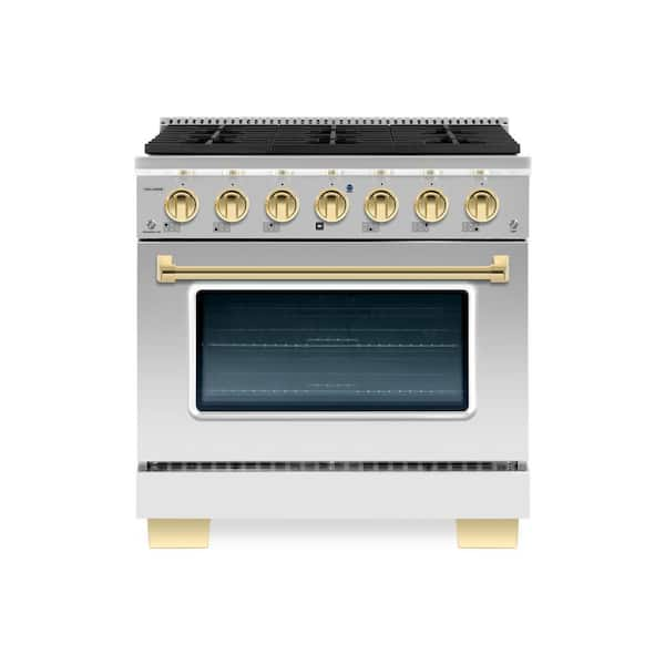 BOLD 36" 5.2CuFt 6 Burner Freestanding Dual Fuel Range with Gas Stove and Electric Oven, Stainless steel with Brass Trim