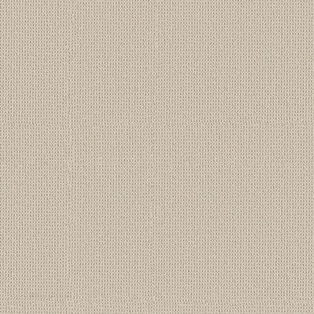8 in. x 8 in. Pattern Carpet Sample - Bellridge -Color Martini price history on PriceWatchPro