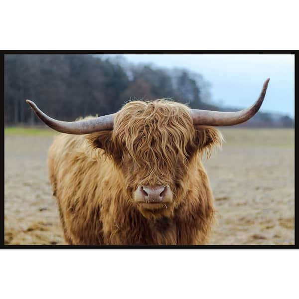 Marmont Hill Sweet Cow Face Canvas Wall Art, 12 x 12