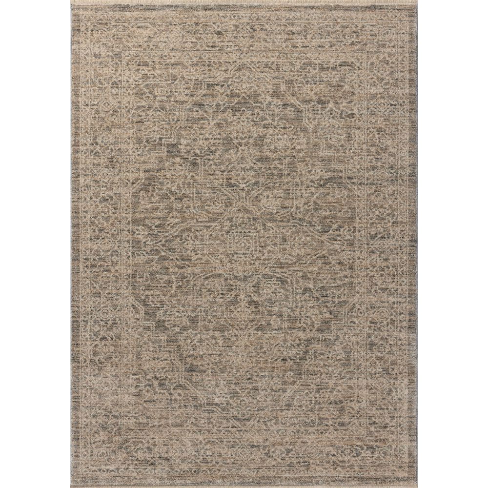 Newman Slate / Natural 3 ft. 11 in. x 5 ft. 7 in. Traditional Area Rug price history on PriceWatchPro
