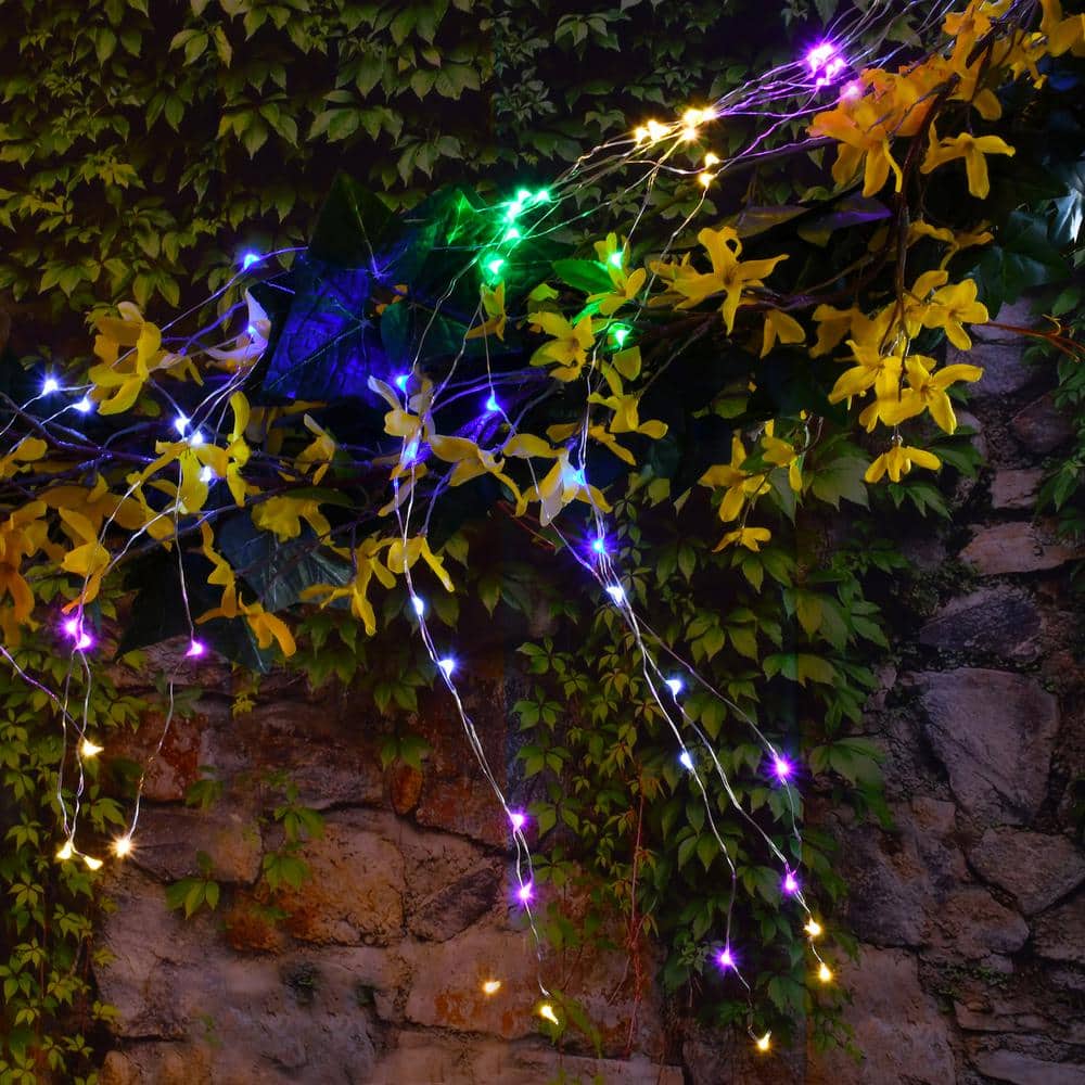 Battery Operated Multicolor LED Outdoor Fairy String Lights, Set of 2