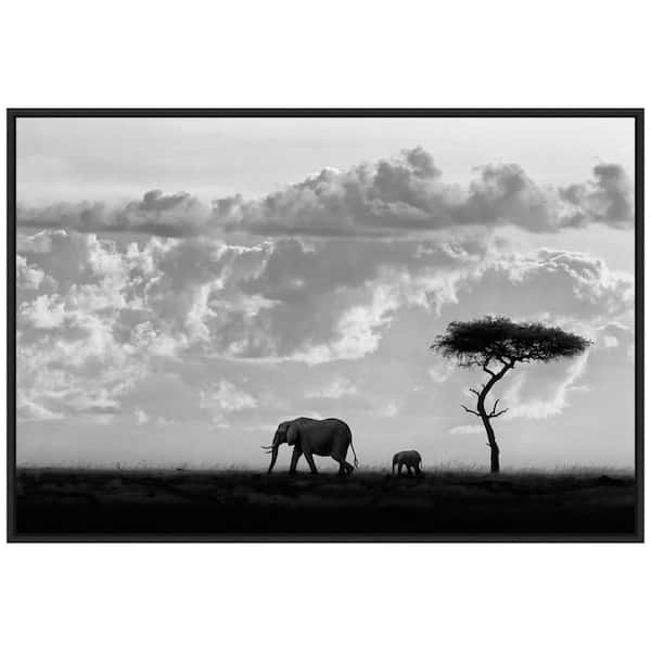 Amanti Art Elephant Silhouettes at Maasai Mara" 1 Piece Floater Frame Black and White Animal Photography Wall Art 23 in. x 33 in.
