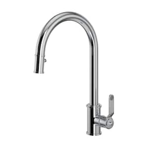 Armstrong Single-Handle Pull-Down Sprayer Kitchen Faucet in Polished Chrome