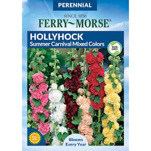 Hollyhock Summer Carnival Mixed Colors Flower Seed