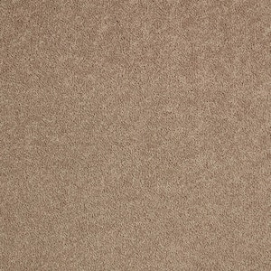 Gemini II  - Romano - Brown 56 oz. Polyester Texture Installed Carpet