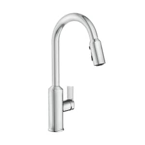 Meena Single-Handle Pull-Down Sprayer Kitchen Faucet with Power Clean and Reflex in Chrome